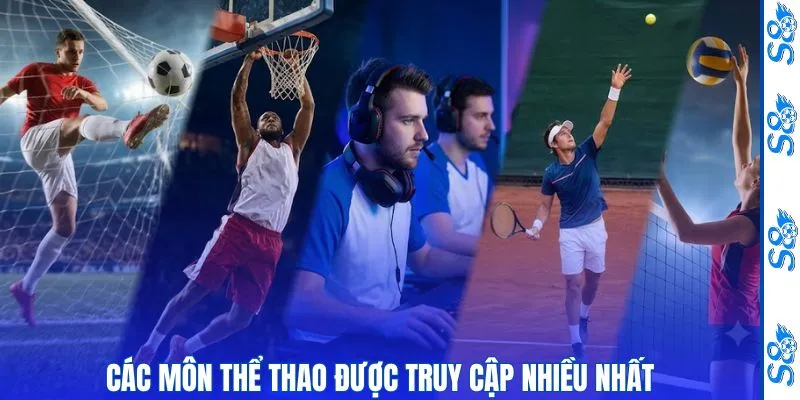 Các môn thể thao được truy cập nhiều nhất 