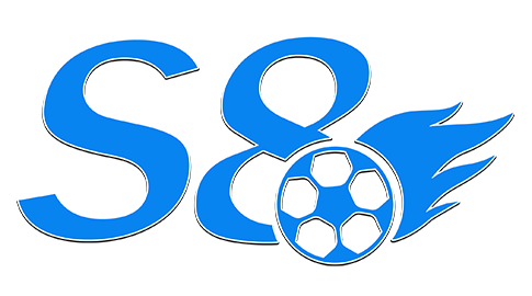 Logo-s8-footer
