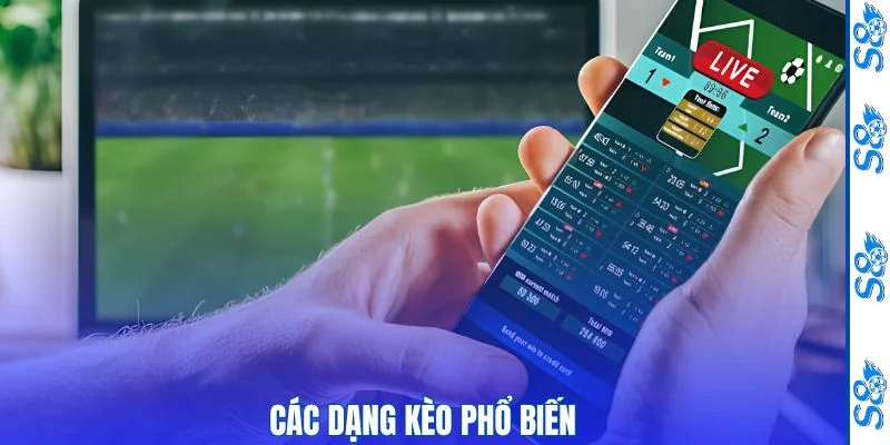 Kèo Châu Á - S8 Hướng Dẫn Đọc Tỷ Lệ Và Phân Tích Hiệu Quả 2 Những mốc chấp quen thuộc của kèo châu á