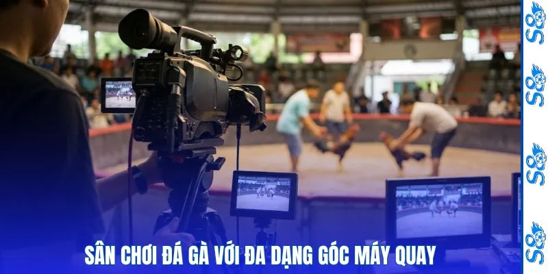 Đá Gà 1 Sân chơi đá gà với đa dạng góc máy quay