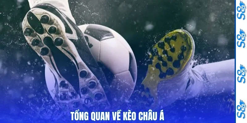 Kèo Châu Á - S8 Hướng Dẫn Đọc Tỷ Lệ Và Phân Tích Hiệu Quả 1 Thông tin cơ bản về kèo châu Á