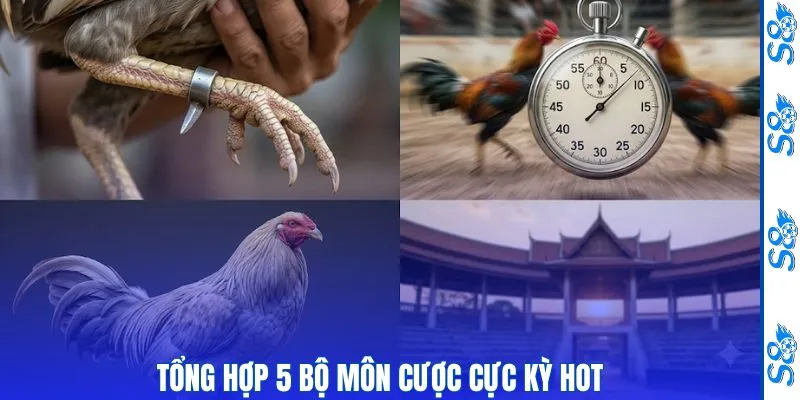 Đá Gà 3 Tổng hợp 5 bộ môn cược cực kỳ hot